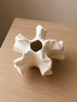 Figura Coral